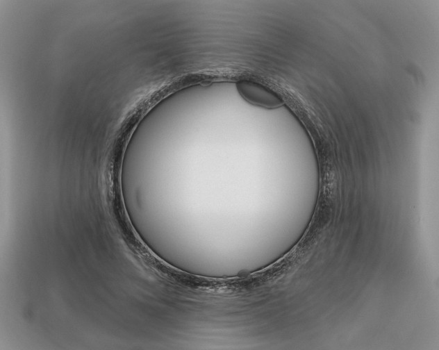 X0000113740688200909230946