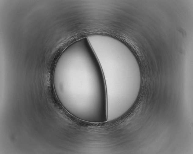 X0000113740689200909230946