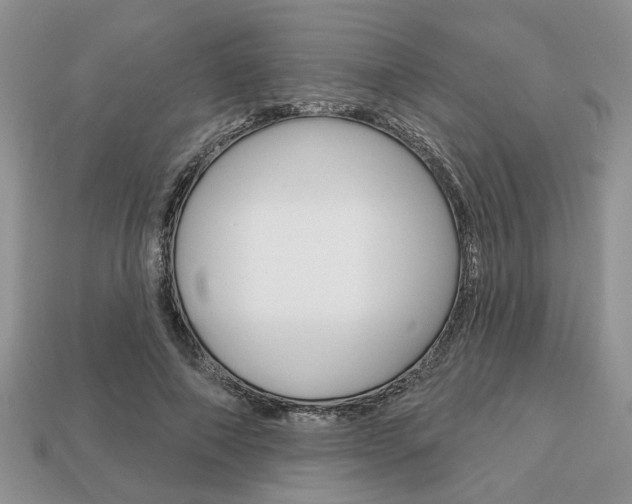 X0000113740690200909230946