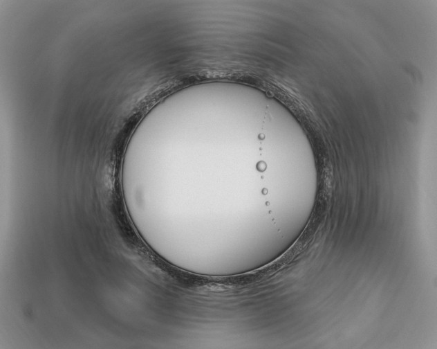 X0000113740691200909230946