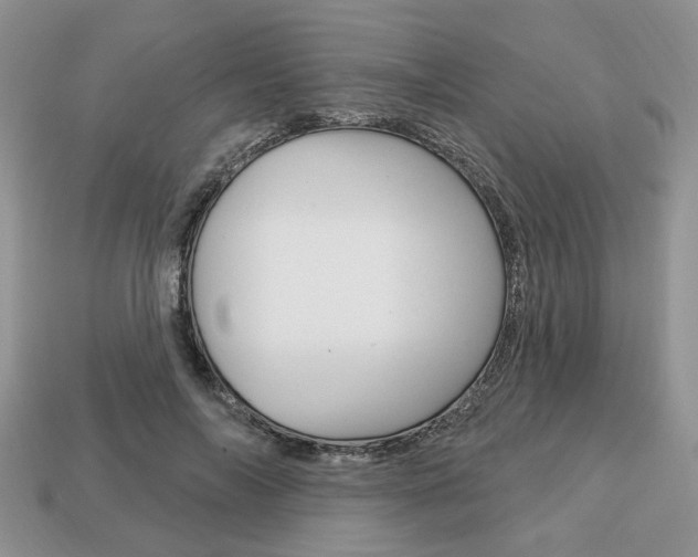 X0000113740694200909230946