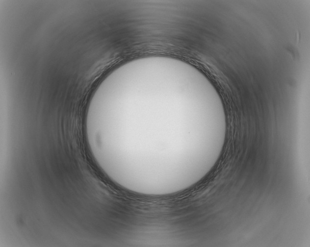 X0000113740696200909230946