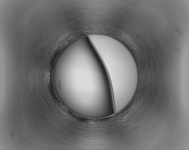 X0000113740697200909230946