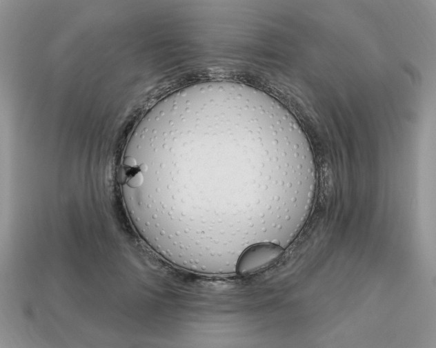 X0000113740698200909230946