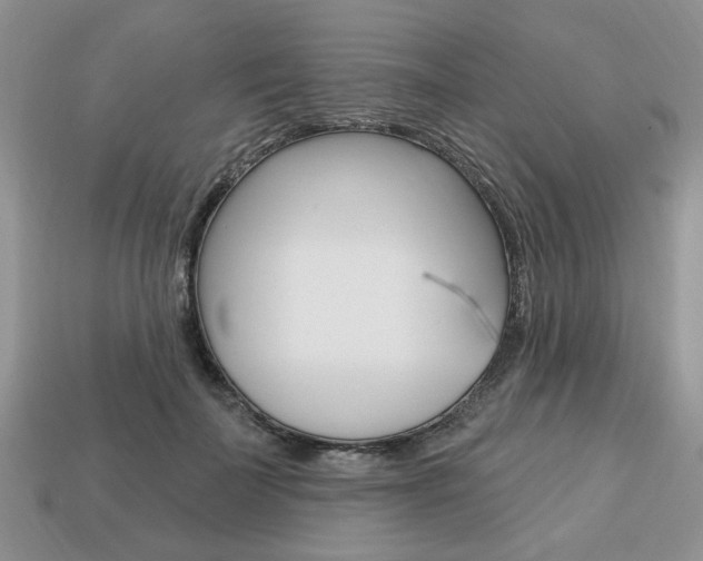 X0000113740699200909230946