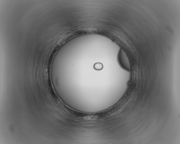 X0000113740700200909230946