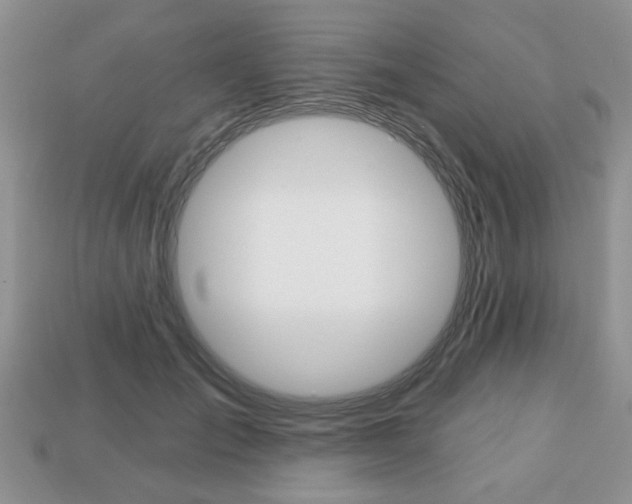 X0000113740701200909230946