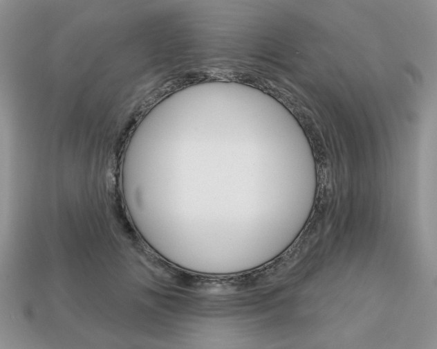 X0000113740702200909230946