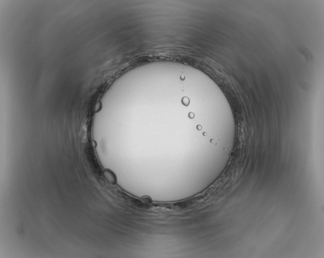 X0000113740703200909230946