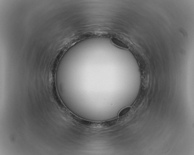 X0000113740704200909230946