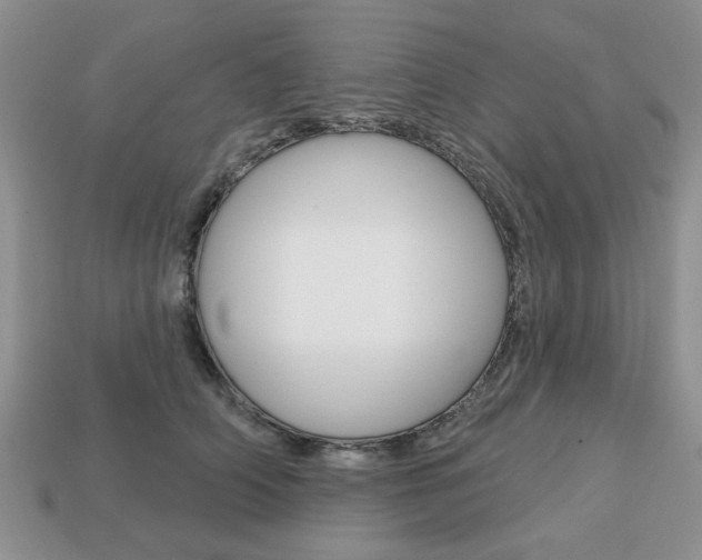 X0000113740706200909230946