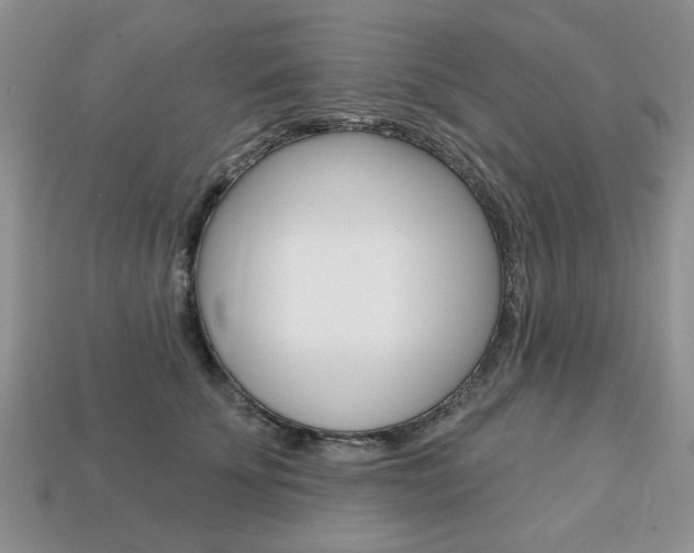 X0000113740707200909230946