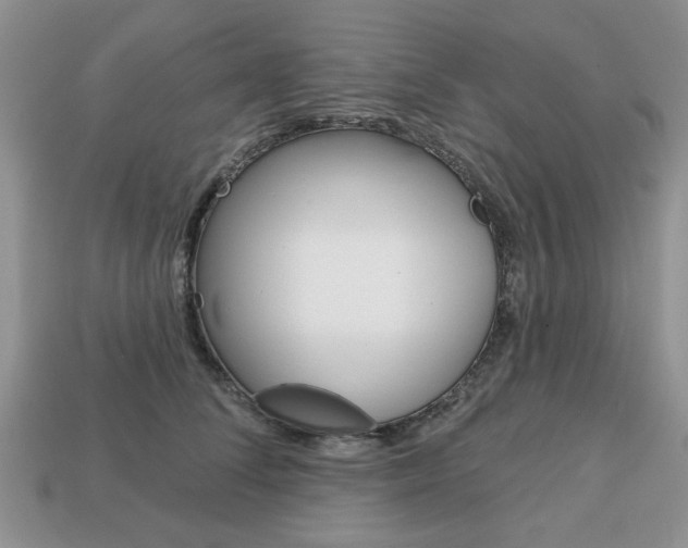 X0000113740708200909230946