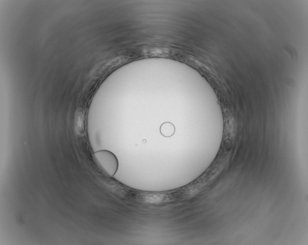 X0000113740709200909230946