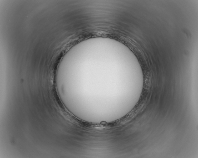 X0000113740710200909230946