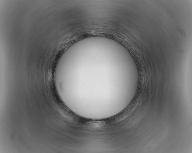 X0000113740711200909230946