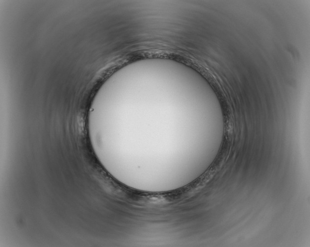 X0000113740715200909230946