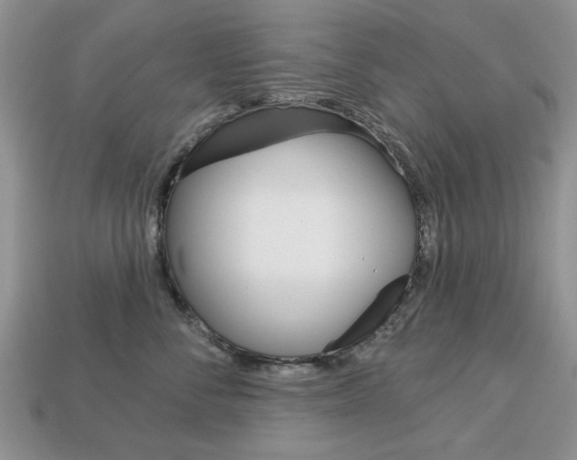 X0000113740716200909230946