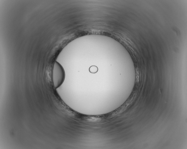 X0000113740718200909230946