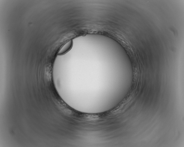 X0000113740719200909230945