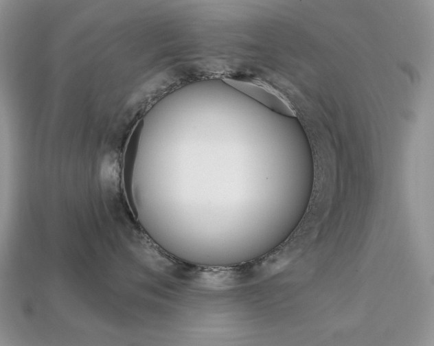 X0000113740720200909230945