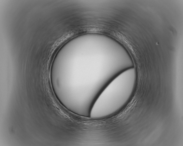 X0000113740721200909230945