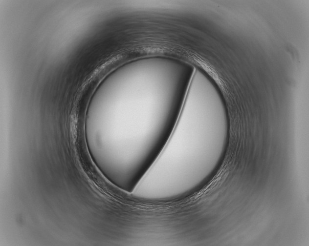 X0000113740722200909230945