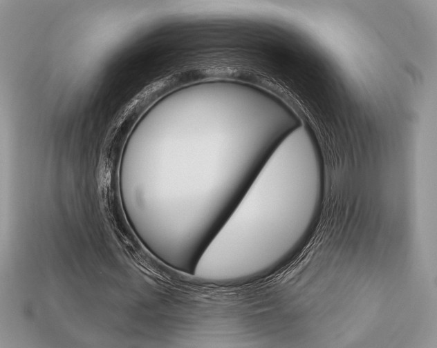 X0000113740723200909230945