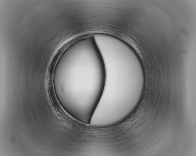 X0000113740724200909230945