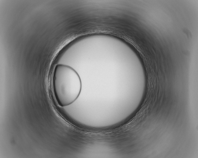 X0000113740726200909230945