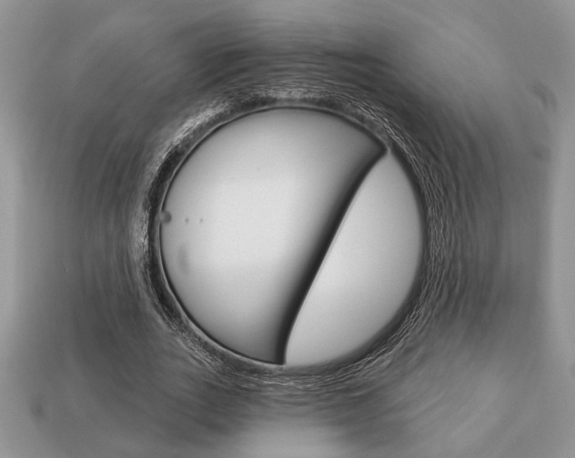 X0000113740727200909230945