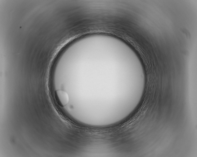 X0000113740728200909230945