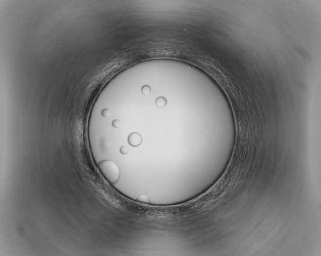 X0000113740729200909230945