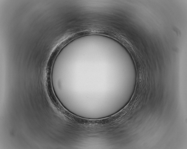 X0000113740730200909230945