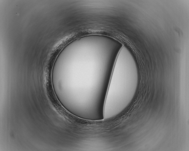 X0000113740732200909230945
