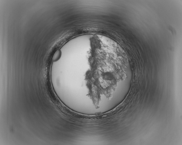 X0000113740735200909230945