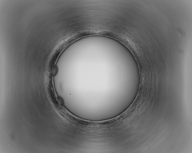 X0000113740736200909230945