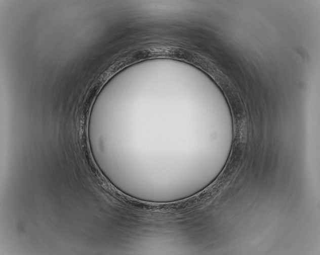 X0000113740737200909230945