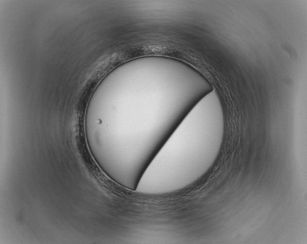 X0000113740738200909230945