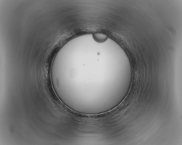 X0000113740739200909230945