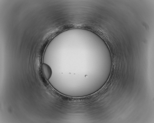 X0000113740740200909230945