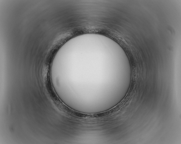 X0000113740742200909230945