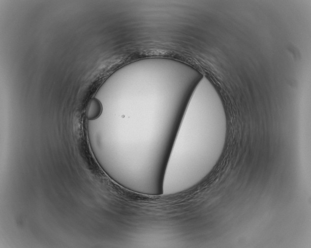 X0000113740743200909230945