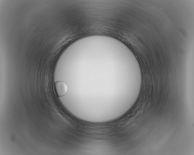X0000113740744200909230945