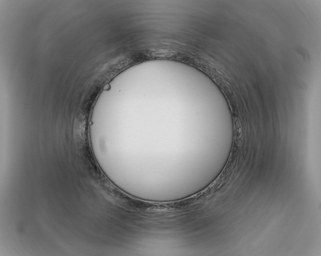 X0000113740745200909230945