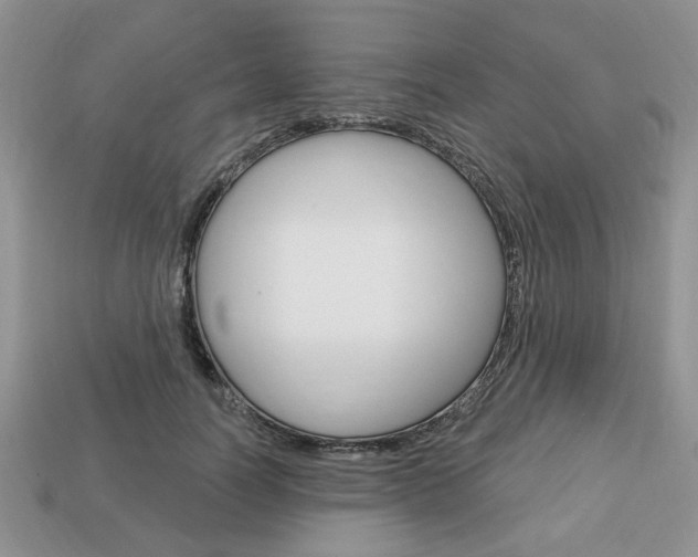 X0000113740746200909230945
