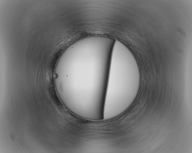 X0000113740747200909230945