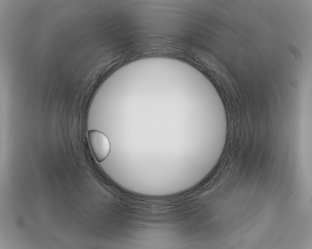 X0000113740748200909230945