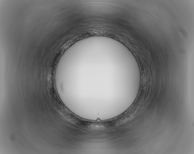 X0000113740749200909230945