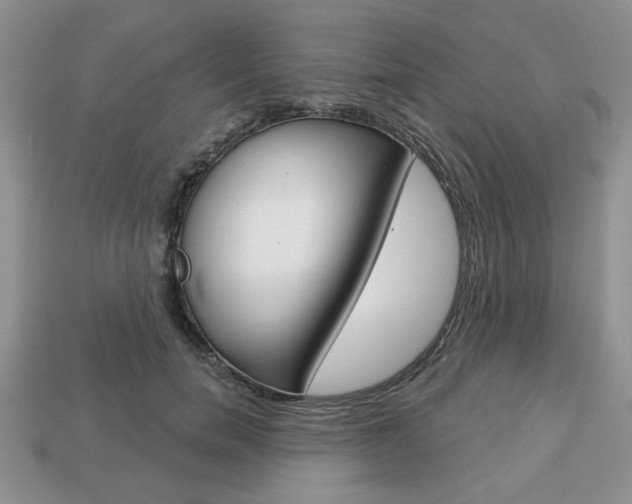 X0000113740750200909230945
